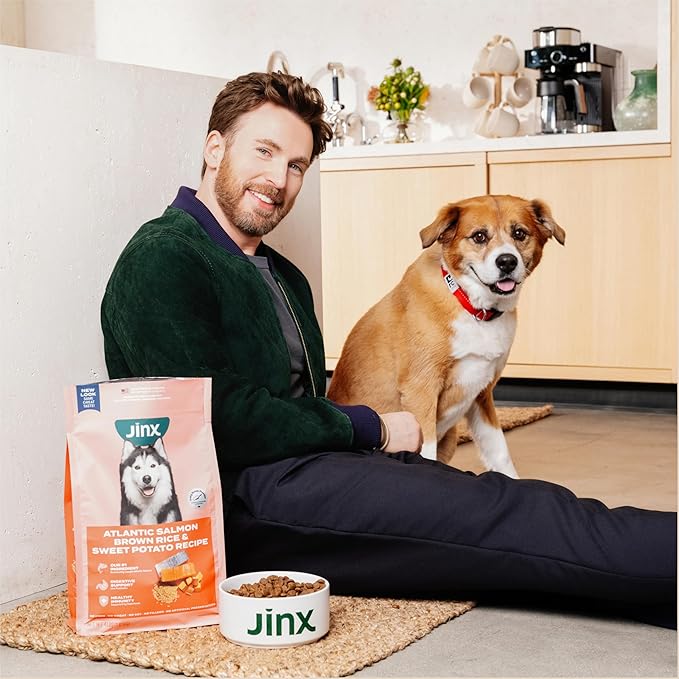 Jinx Premium Dry Dog Food, for All Life-Stages - Real Salmon, Brown Rice & Sweet Potato Kibble with Superfoods for Immune Support & Probiotics for Digestive Support - No Fillers – 4lb