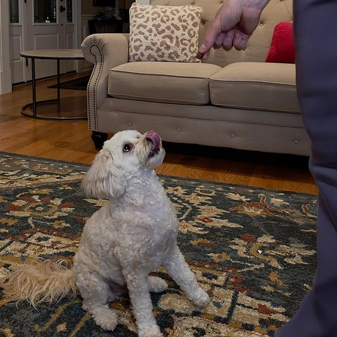 Exclusively Dog Chewy Training Treats Savory Chicken Flavor Grain Free Gluten Free, 100% sourced and Made in The USA, 6 oz.