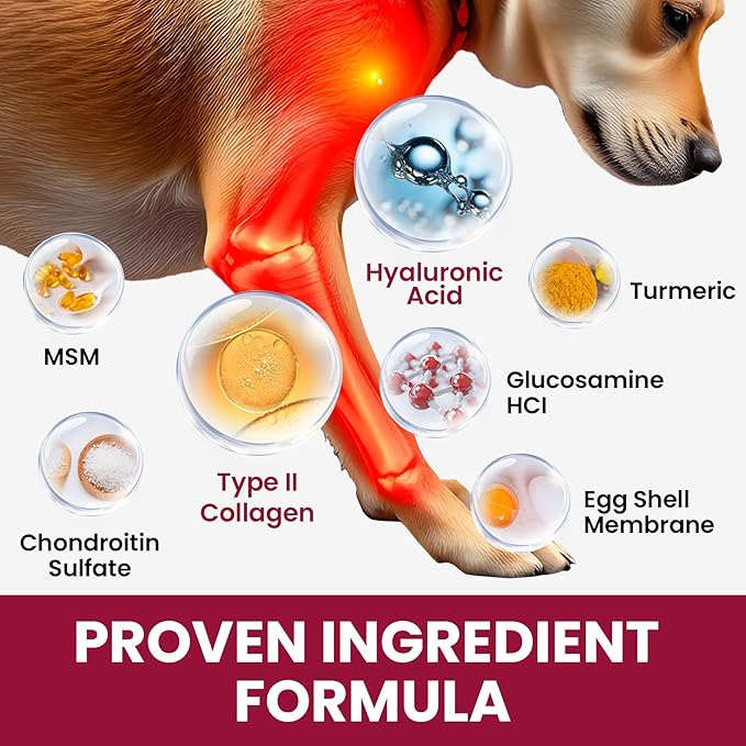 Glucosamine for Dogs Hip and Joint Supplement Chews, Chondroitin for Dogs Joint Health supplemnt, Dog glucosamine Chews, Dog Supplement for Joint Pain Relief - 60-Day Satisfaction Guarantee -180 Ct