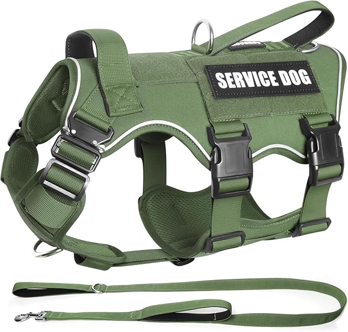 Tactical Service Dog Vest Harness and Leash Set,Heavy Duty Dog Harness with Metal Buckles for Large Dogs,Adjustable No Pull Pet Vest with 10 Patches,for Training Working Hiking,Green XL