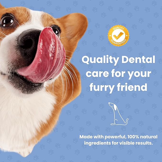 Dog Dental Powder | All-Natural for Teeth Cleaning | Plaque Remover for theeth and Breath freshener | Flavorless, Easy to Use | 3.17 oz - 45 supplys | Smile 2 Life