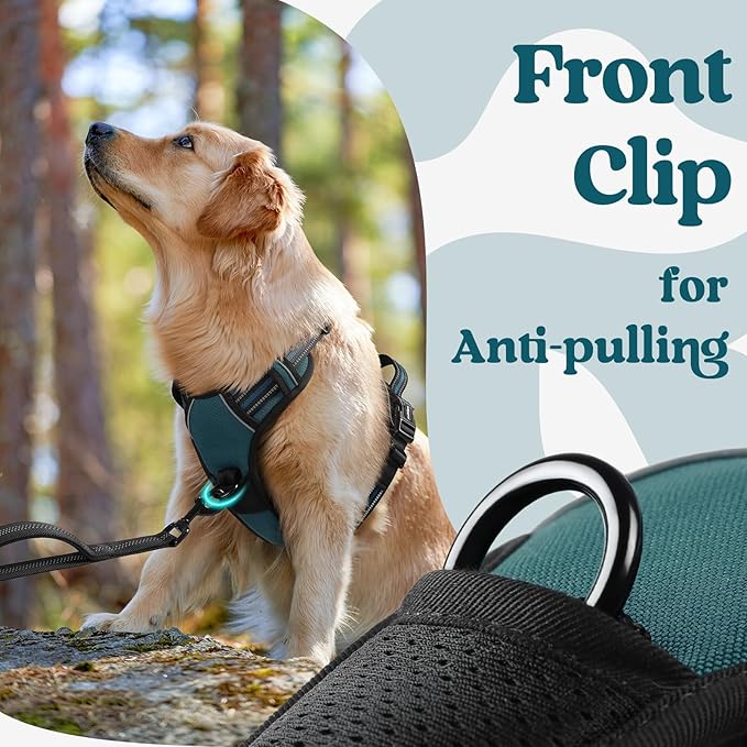 rabbitgoo Dog Harness Medium Sized, No Pull Pet Harness with 3 Buckles, Adjustable Soft Padded Vest with Control Handle, Walking Reflective Pet Vest for Medium Dogs, Blue Coral, M