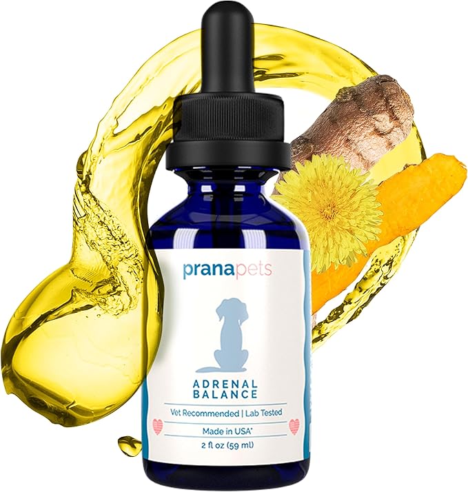 PranaPets Adrenal Balance for Dogs with Cushing's | Naturally Relieves Symptoms of Cushing's Disease in Dogs | Licorice Free Herbal Formula for Dogs with Cushing's Disease - 2 Pack