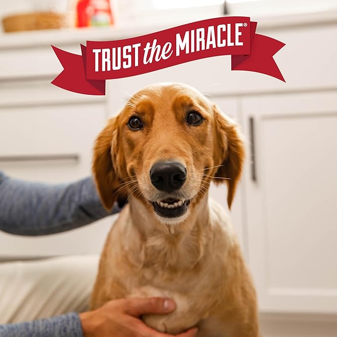 Nature's Miracle Urine Destroyer Plus for Dogs with Flip & Go Sprayer, 64 Ounces, Enzymatic Formula for Dogs Powers Out Tough Dog Urine Messes and Yellow, Sticky Residue