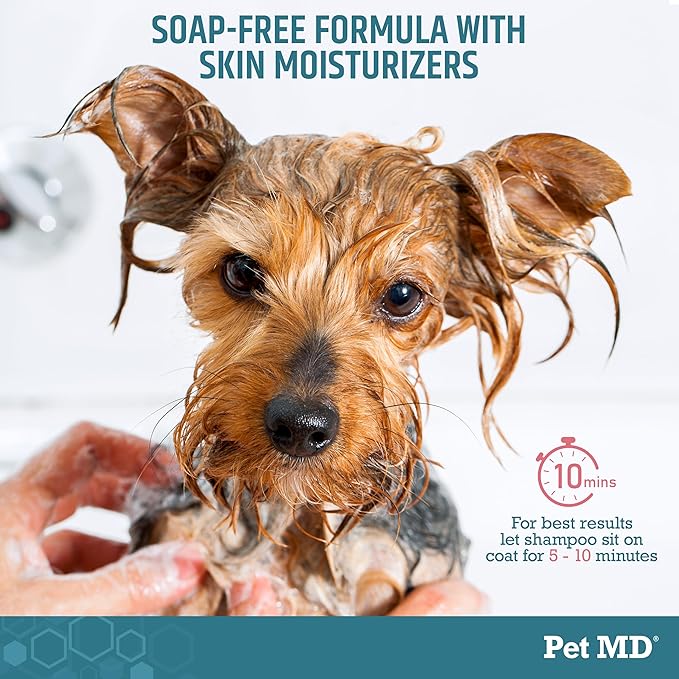 Pet MD Benzoyl Peroxide Shampoo for Dogs & Cats - Helps Remove Dead Skin, Unclog Pores, and Manage Mange - Seborrhea and Degreasing Shampoo for Pet Skin Maintenance - Sweet Pea Vanilla Scent (16oz)