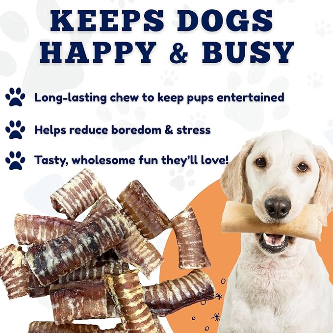 Amazing Dog Treats - 6 Inch Beef Trachea Dog Chews (5 pcs - 8 oz) - Trachea Dog Treats - NO Hide - Digestible and Safe Chews for Dogs - Glucosamine and Chondroitin for Dogs Joint Health