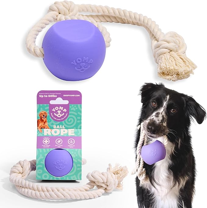 Yomp BallRope Ball on a Rope Dog Toy – Interactive Tug of War Toy for Soft and Medium Chewers, Teething Puppy Ball – Made from Pet-Safe, Non-Toxic Silicone