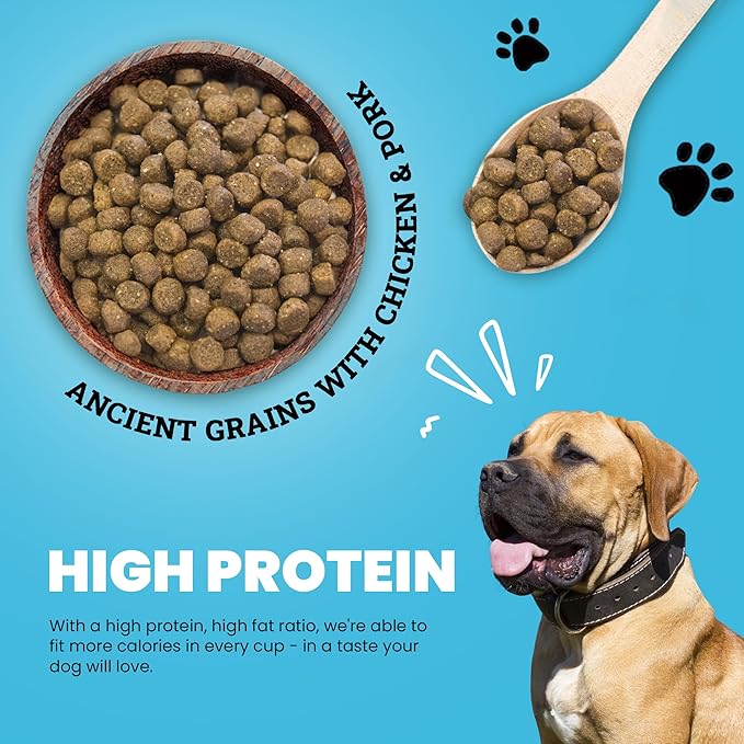 Muenster Ancient Grains Chicken & Pork Dry Dog Food, 22lb - Gluten-Free, High Protein, Digestive Support