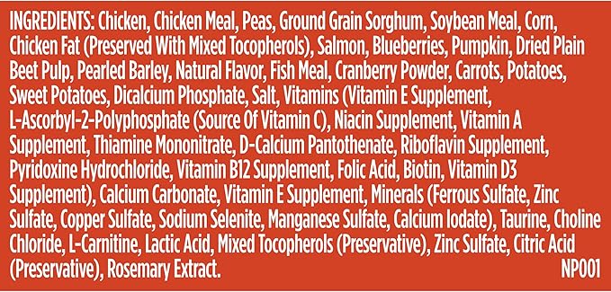 Nutrish Everyday Immune Support Chicken, Salmon, Blueberry & Pumpkin Recipe Dry Dog Food, 26 lb. Bag (Rachael Ray)