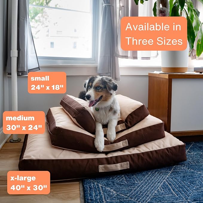 Rawry Orthopedic Dog Bed | Memory Foam Dog Bed with Handle | Water-Resistant, Machine Washable Cover | Floor Cushion for Cats, Dogs & People - Tan/Brown (Small - 24" x 18")