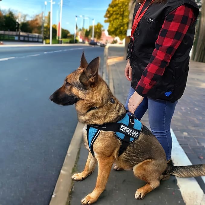 ActiveDogs Full Service Dog Kit - Large Aqua - Service Dog Vest Harness with Handle, ID, ID Holder, ADA Cards, Medical Alert Keychain, Leash & Patches