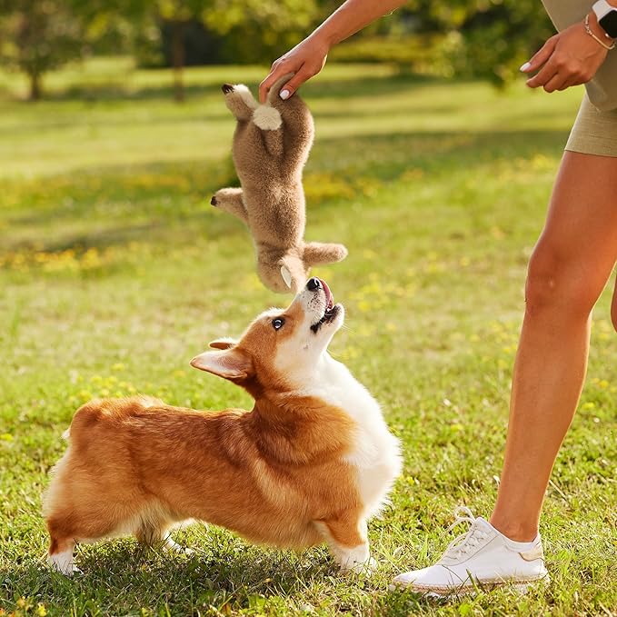 No-Stuffing Bunny Squeaky Dog Toy for Aggressive Chewers, Tear-Resistant Plush Puppy Teething Toy to Keep Them Busy, Tough Interactive Tug of War & Dental Chew for Small Medium Large Dogs