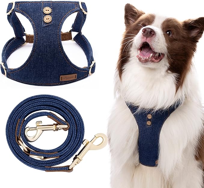 Dog Harness, No Pull Dogs Harness and Multi-Function Leash Set for Medium Dogs Easy Walk Everyday Adjustable Soft Dog Vest Harness Fashionable Dog Accessories Blue-Button-Slim Large