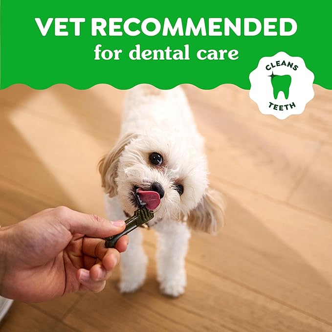 Greenies Gingerbread Flavor Teenie Size, Veterinarian-Recommended for Dental Care, Dog Treat Chews, Great Holiday Dog Stocking Stuffers, Limited Edition, 6 oz. Pouch (22 Treats)