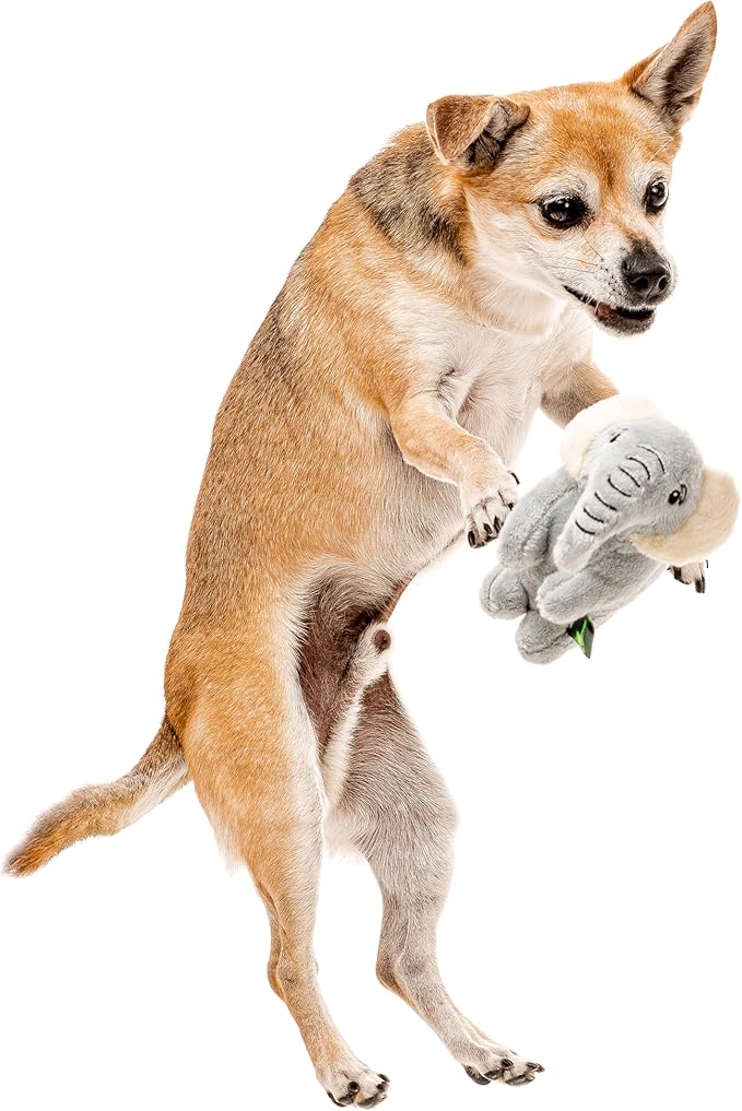 Dog Toys | Plush Toy Elephant Stuffed Animal for Dogs | Small Eco Friendly Toy - Easy to Clean and Made from Non Toxic Materials