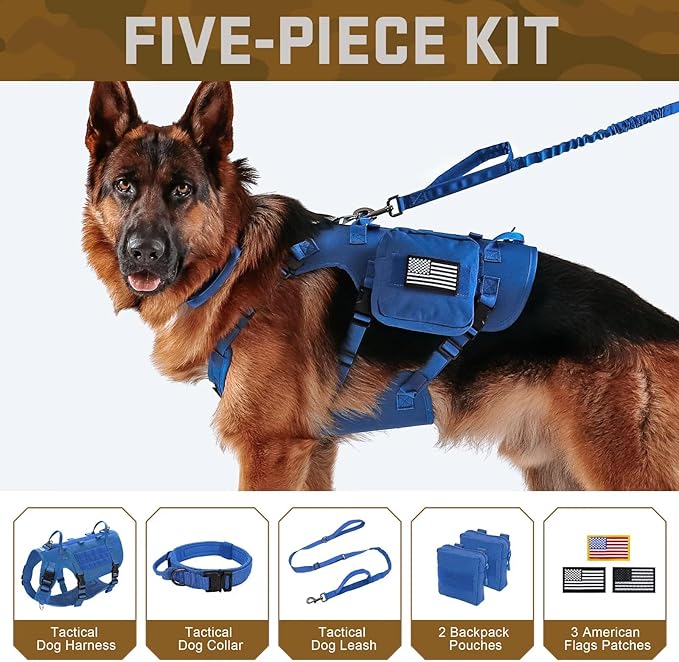 Forestpaw Tactical Dog Harness for Large Dogs,Tactical Dog Collar with Bungee Leash Set,No Pull Military Dog Harness for Walking Training,Adjustable for Medium Large Dogs,Blue,Chest 21.5-45"