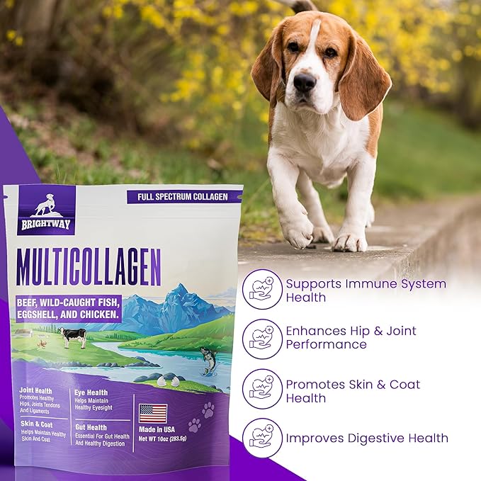 Multi-Collagen Peptide Daily Liquid Collagen for Dogs, Dog Collagen, Eggshell Powder Membrane for Dogs - Arthritis, Skin & Coat Health, Allergies,Dog Mobility Hip & Joint Pain Joint Supplement Relief