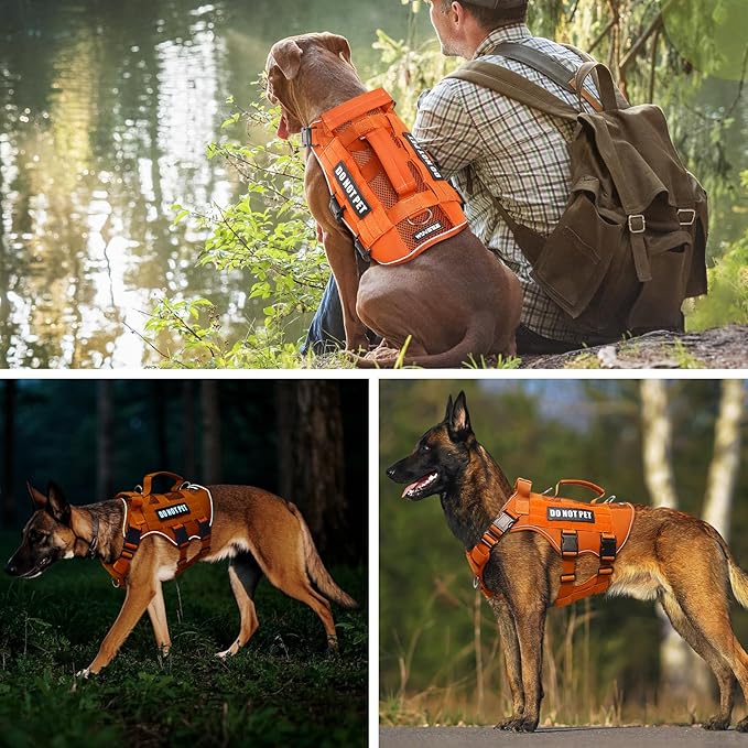 WINSEE Mesh Dog Harness with 10 Pet Patches for Small Service Dog in Training, Breathable Tactical Molle Vest with Double Handle, Reflective Military Pet Vest for Walking Hiking