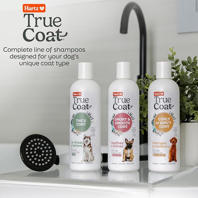 New! Hartz True Coat Curly or Wavy Coat Specific Dog Shampoo, Detangles & Conditions with Oat Milk, Coconut Oil & Shea Butter