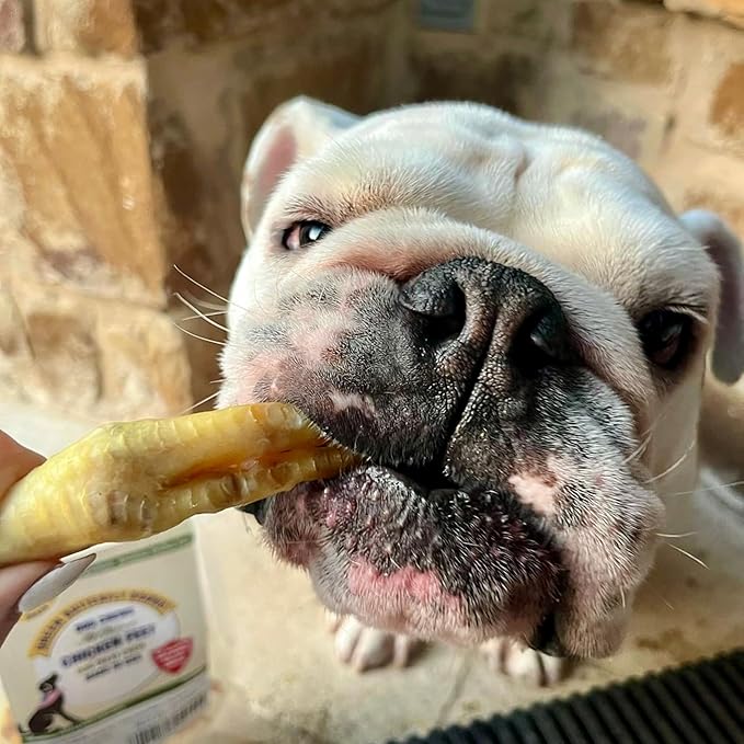 Green Butterfly Chicken Feet Dog Treats - 100% All Natural Single Ingredient Dental Chews for Dogs Made in USA from Farm Raised American Chickens - Rich in Glucosamine for Joint Health (10 Pack)