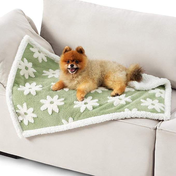 Lesure Waterproof Puppy Blanket for Small Dogs - Washable Double Sided Dog Blankets with Warm Jacquard Shag and Soft Sherpa Fleece, Pet Cat Blanket for Couch Protection, 3D Textured Cloud, Green