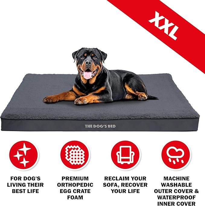 The Dog’s Bed Orthopedic Dog Bed, XXL Grey Plush, Waterproof, Supportive Dog Bed with Washable Replaceable Covers
