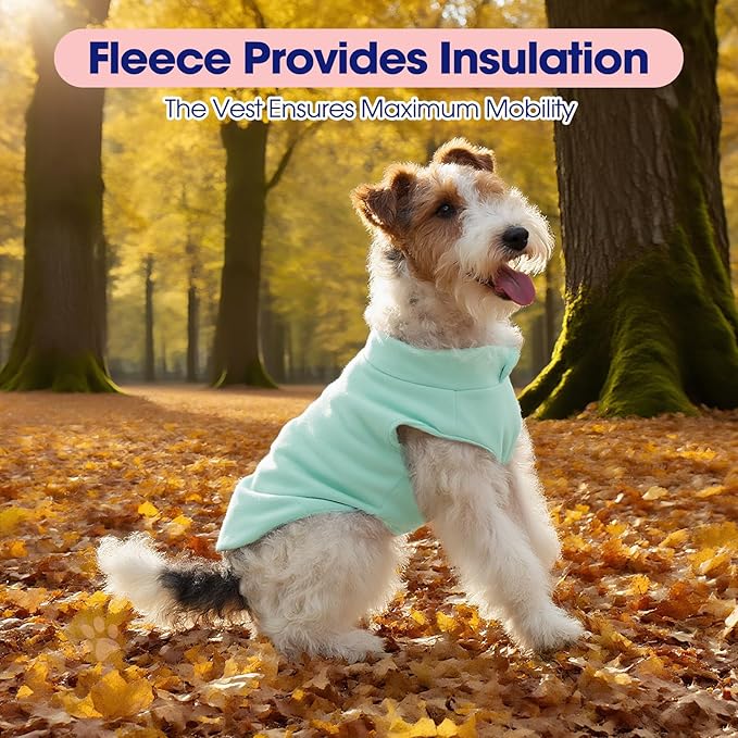 FUAMEY Dog Fleece Vest for Small Dogs,Warm Stretchy Dog Sweatshirts Pullover with Leash Hole Dogs Sweater Soft Pet Turtleneck Cozy Pet Vest Lightweight Sleeveless Blue S