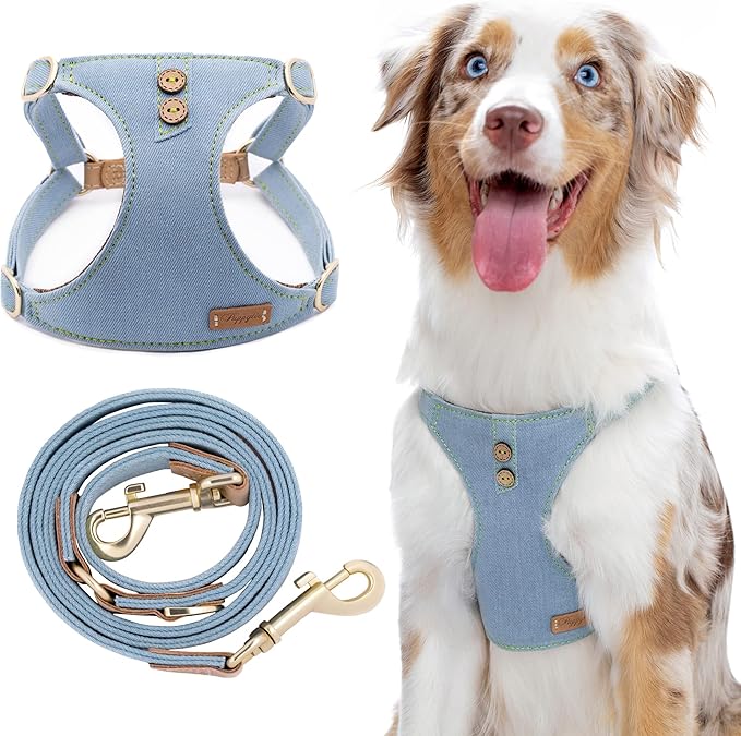 Dog Harness, No Pull Dogs Harness and Multi-Function Leash Set for Medium Dogs Easy Walk Everyday Adjustable Soft Dog Vest Harness Fashionable Dog Accessories Glacier Blue Button-Relaxed Medium