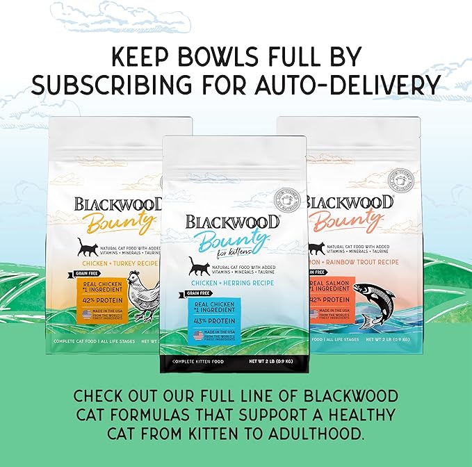 Blackwood Bounty Dry Cat Food, Kitten Formula, Chicken & Herring Recipe, 2 Pound Bag, High Protein, Grain Free