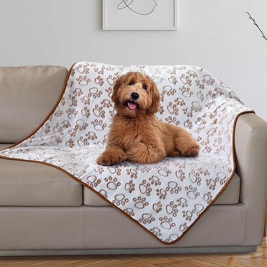 Stuffed Large Brown Premium Soft Dog Blanket, with Flannel Cute Paw Print, 43 * 66 inches, Cat Blanket Maltipoo Puppy Essentials