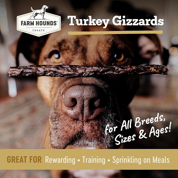 Farm Hounds - Turkey Gizzards - Premium Natural Jerky for Dogs - 100% Humanely Raised Turkey - Break-to-Size - Great for Training & Treats - No Added Fillers - Made in USA - 4oz - 2 Pack