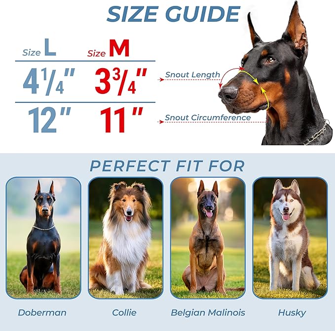 Metal Doberman Muzzle for Large Sized Dog - Cage Muzzles for Barking and Prevent Biting - Steel Wire Basket Muzzle for Medium and Large Dogs Doberman, Collie, Belgian Malinois, Husky etc.