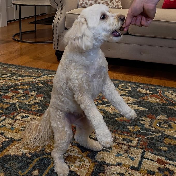 Exclusively Dog Chewy Training Treats Savory Chicken Flavor Grain Free Gluten Free, 100% sourced and Made in The USA, 6 oz.