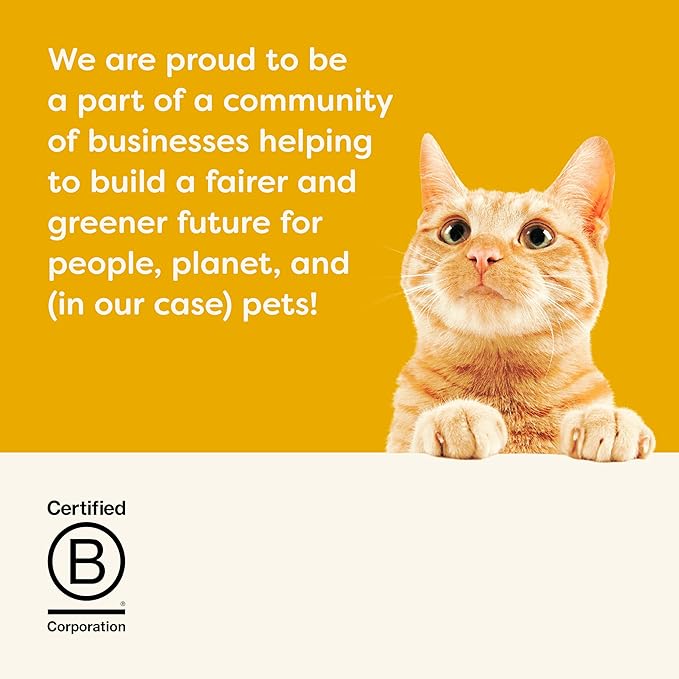 Applaws Natural Wet Canned Cat Food, Limited and Natural Ingredients, High Protein with No Artificial Additives, Chicken Breast & Liver in Broth (24 x 2.47oz Cans)