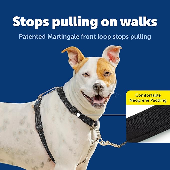 PetSafe 3-in-1 Harness - Comfortable Easy-Walk Dog Chest Harness with Front Leash Attachment to Reduce Pulling, Choking & Gagging - Dog Obedience Gear - Medium - Black