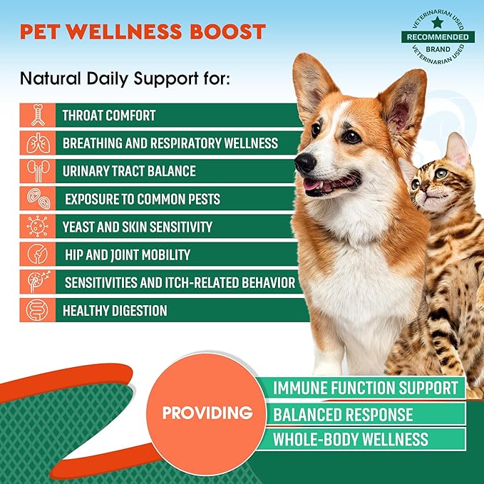 Natural Antibiotic for Dogs & Cats – Herbal Supplement for Kennel Cough Relief, UTI Treatment, Urinary Tract Health, Intestinal Defense & Immune Support – Liquid Drops
