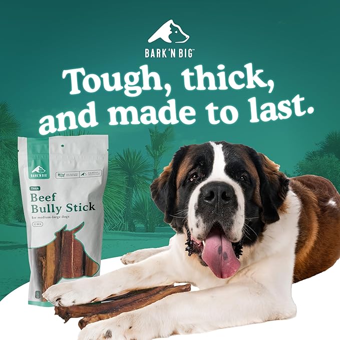 BARK'N BIG Thick 12 Inch Odor Free Bully Sticks for Large Dogs Made in USA - Single Ingredient Dog Chew - Premium Pizzle Sticks - Beef Pizzles for Large Breeds - 5 Count