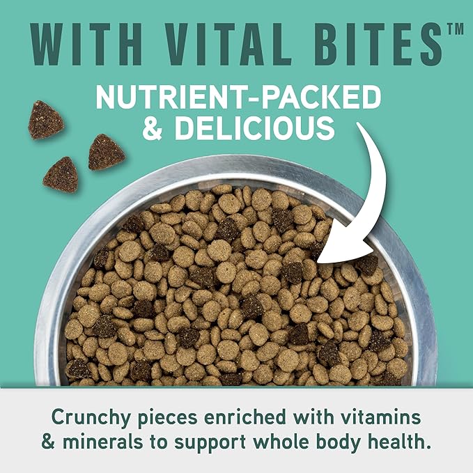 Natural Balance Specialized Nutrition Dry Dog Food with Chicken and Oatmeal for Dogs, Small Breed Digestive & Joint Health, Natural Ingredients with Added Vitamins & Minerals - 3.5 lbs