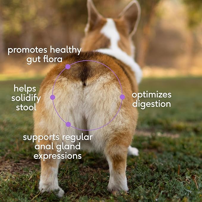 Native Pet WonderGland - Dog Anal Gland Treatment Using Fiber for Dogs - Prevent Scooting for Dogs Anal Gland Supplement Including Dog Gut Health Probiotics for Anal Gland Support - 30 Scoops