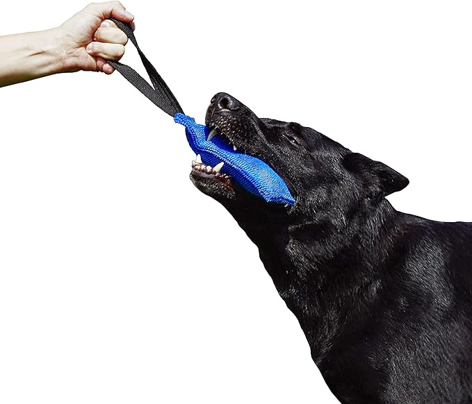 Dingo Gear French Linen tug Toy for Dog, Bumper Toy for Training, Agility, tug of war, bite Pillow for Strong Dog, 1handle 8in Blue S00071