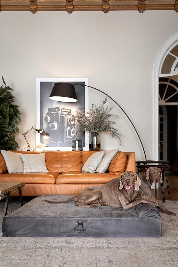 NOAH & PAW Giant Dog Bed XXL 55x45x9.5 Inch, Orthopedic Dog Beds, Eggshell Memory Foam Infused with Cooling Gel, Waterproof, Machine Washable, Includes Inner Cover (Velvet Collection)