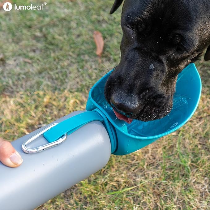 LumoLeaf Insulated Dog Water Bottle 27 oz Stainless Steel - Keep Water Cool or Warm, Portable Pet Water Bowl for Travel, Wide Mouth for Easy Ice Filling & Cleaning