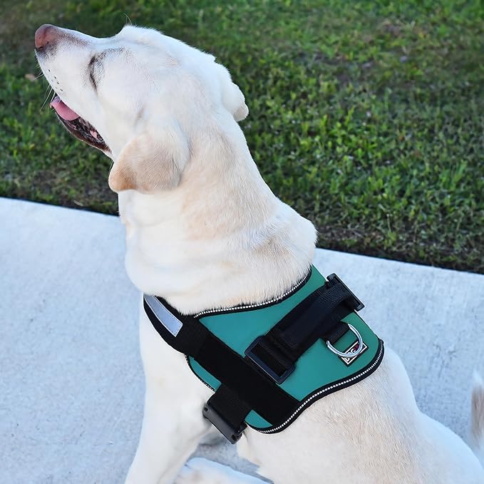Dogline Dog Harness, Reflective No-Pull Adjustable Vest with Handle for Walking, Training, Breathable, No - Choke Harness for Small, Medium or Large Dogs Room for Patches Girth 15 to 18 in Turquoise
