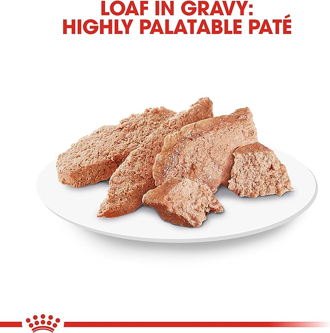 Royal Canin Shih Tzu Adult Breed Specific Wet Dog Food, 3 oz can (24-count)