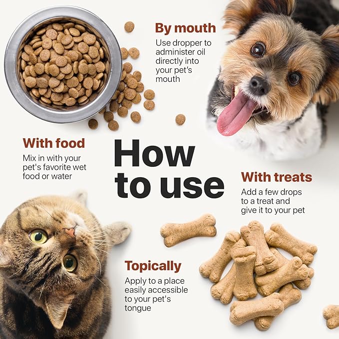 Charlie Buddy - Hеmp Oil for Dogs Cats - Hip and Joint Support and Skin Health - Anxiety, Calm, Pain - Omega 3, 6, 9 and Vitamins B, C, E