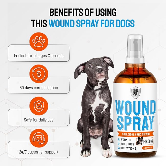 Hot Spot Treatment for Dogs – Silver Wound Spray Helps with Irritation, Bites, Burns, Rashes, Itch, Scratching – Better Use with a Dog Cone – 4 oz