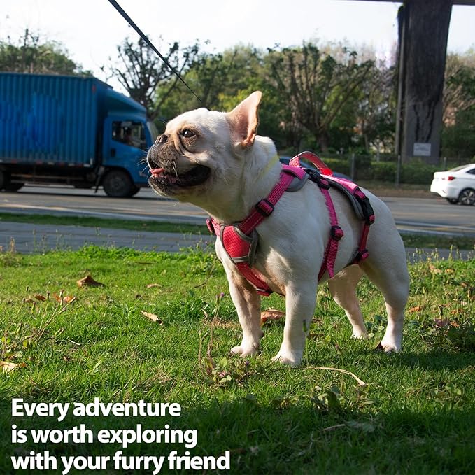 Huntboo Escape Proof Dog Harness, Escape Artist Harness, Reflective Dog Harness with Handle, Durable,Adjustable Vest for Small Medium Large Dogs Walking, Training, and Running Gear(Rose Red, L)