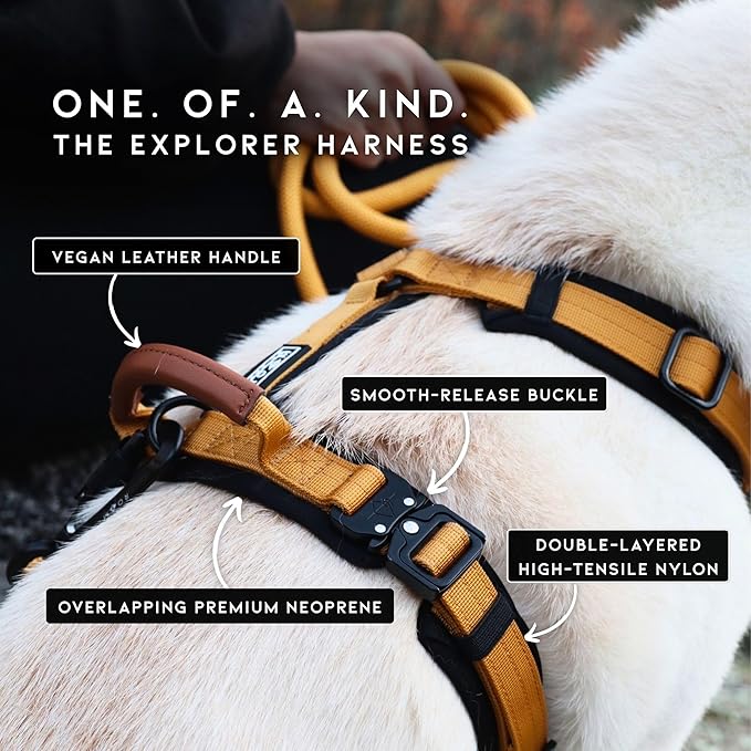 MADE TO ROAM Premium Explorer Harness - Y-Shaped Dog Harness with Adjustable Durable Nylon, Soft Padding, Metal Buckles and Leather Handle for Small, Medium, Large Dogs (Washington Rain, Size 5)