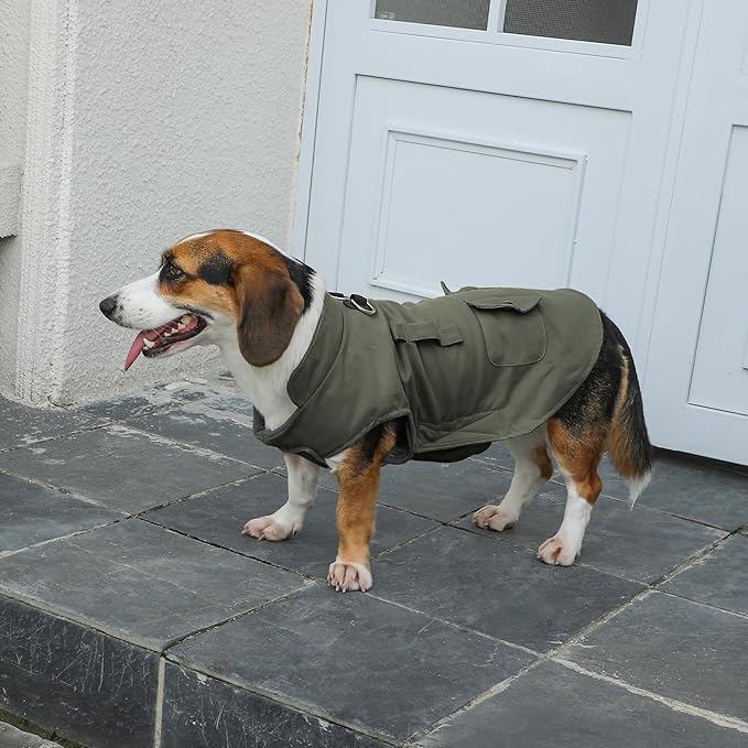 Workwear Style Dog Coats with Harness Built in for Small Dogs Windproof Warm Puppy Jacket with Storage Pockets for Cold Winter,Green M