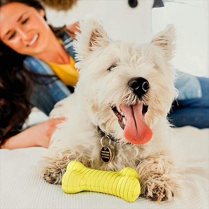 Playology Dog Toys | Rainbow of Scent Chew Toy Gift Box - Dual Layer Bones for Dogs | Peanut Butter, Chicken, & Beef Scented Toys - Easy to Clean and Made from Non Toxic Materials